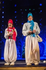 Новорічне видовище 2019