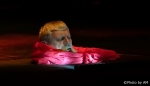 ТА НЕ ОДНАКОВО МЕНІ...